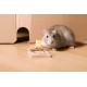 Pułapka drewniana na myszy gryzonie myszołapka