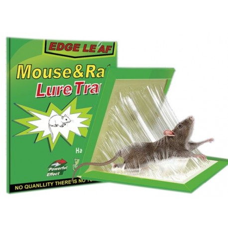 Pułapka klejąca na myszy LEP szczury GIGANT 32x21