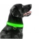 Obroża LED świecąca dla psa na baterie regulowana ZIELONA