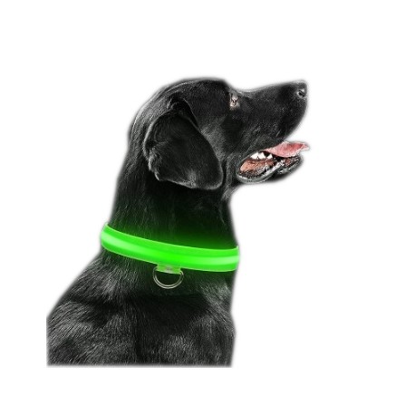 Obroża LED świecąca dla psa na baterie regulowana ZIELONA