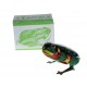 Żabka nakręcana żaba zabawka dla dzieci zwierząt