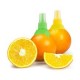 Spray wyciskarka do cytryn cytryny limonki